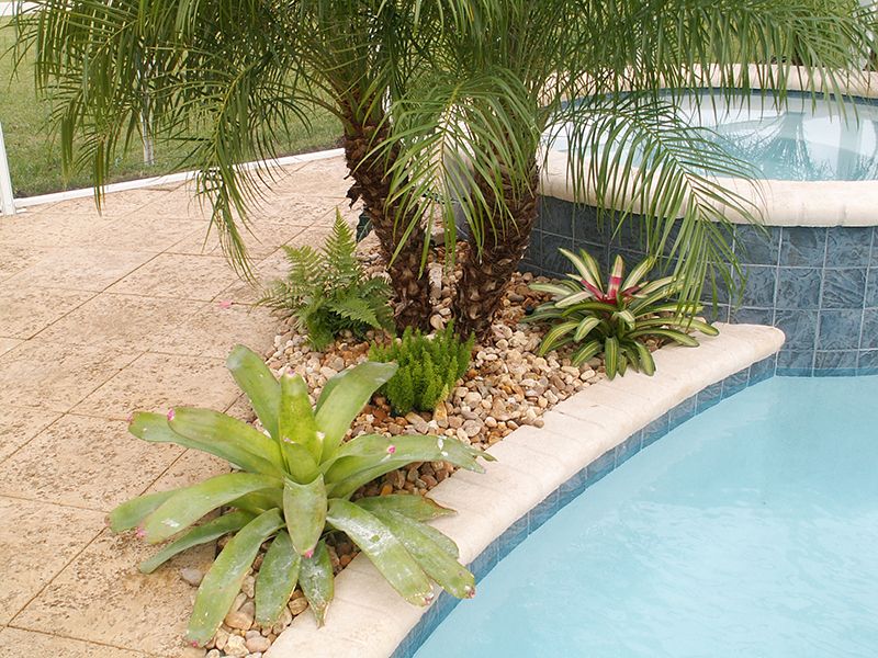 landscapins pictures 053